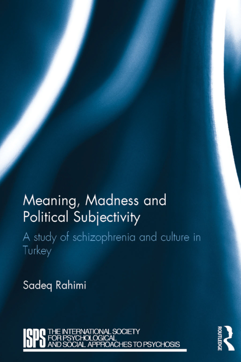 Cover image for book Meaning, Madness and Political Subjectivity