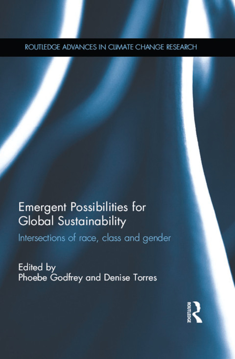 Cover image for book Emergent Possibilities for Global Sustainability
