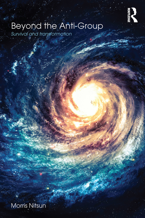 Cover image for book Beyond the Anti-Group