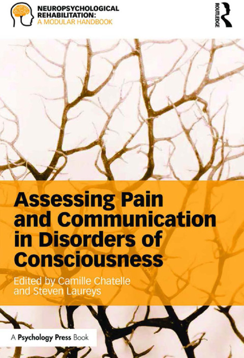 Cover image for book Assessing Pain and Communication in Disorders of Consciousness