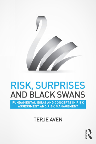 Risk, Surprises and Black Swans