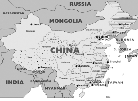 Cover image for book Love and Marriage in Globalizing China