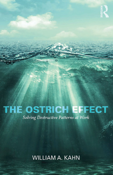 Cover image for book The Ostrich Effect