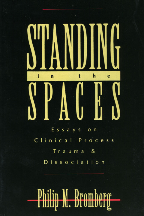 Cover image for book Standing in the Spaces