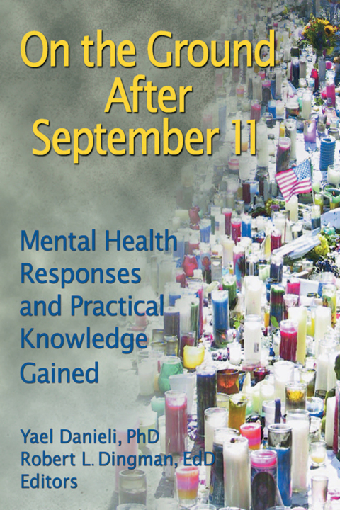 Cover image for book On the Ground After September 11