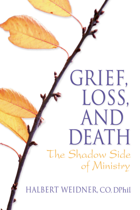 Cover image for book Grief, Loss, and Death