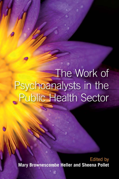 Cover image for book The Work of Psychoanalysts in the Public Health Sector