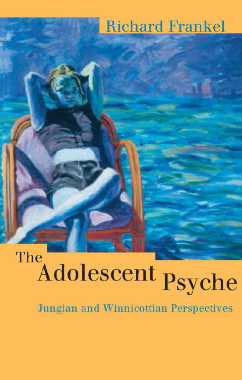 Cover image for book The Adolescent Psyche