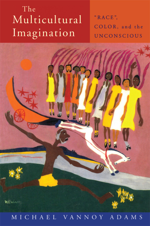 Cover image for book The Multicultural Imagination