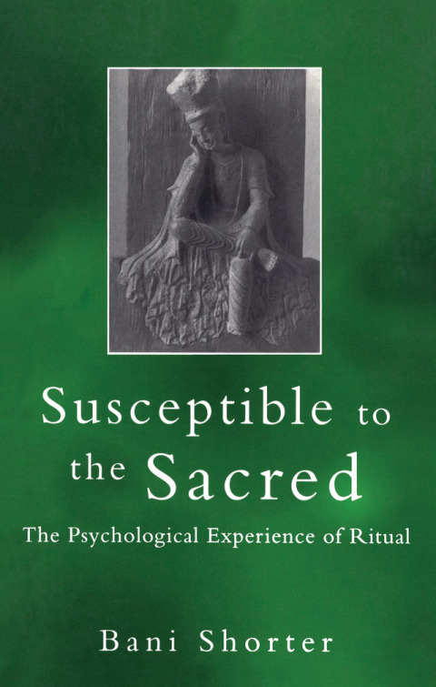 Cover image for book Susceptible to the Sacred