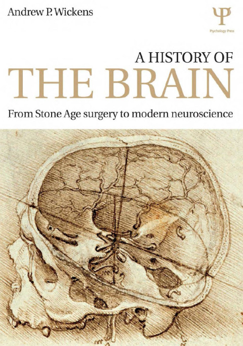 Cover image for book A History of the Brain