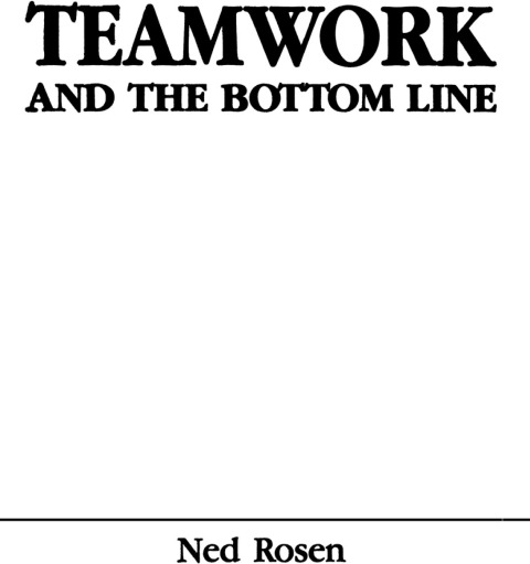 Cover image for book Teamwork and the Bottom Line