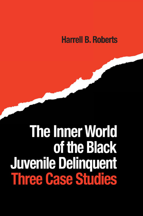 Cover image for book The Inner World of the Black Juvenile Delinquent