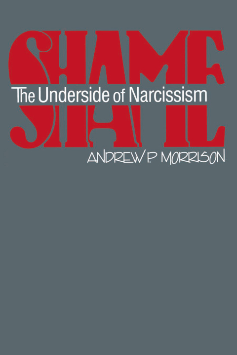 Cover image for book Shame