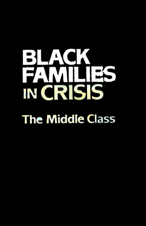 Cover image for book Black Families In Crisis