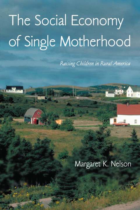 Cover image for book The Social Economy of Single Motherhood