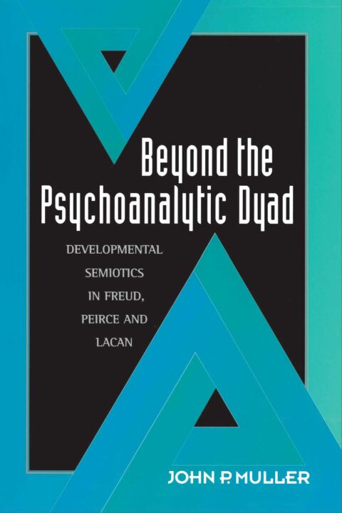 Cover image for book Beyond the Psychoanalytic Dyad