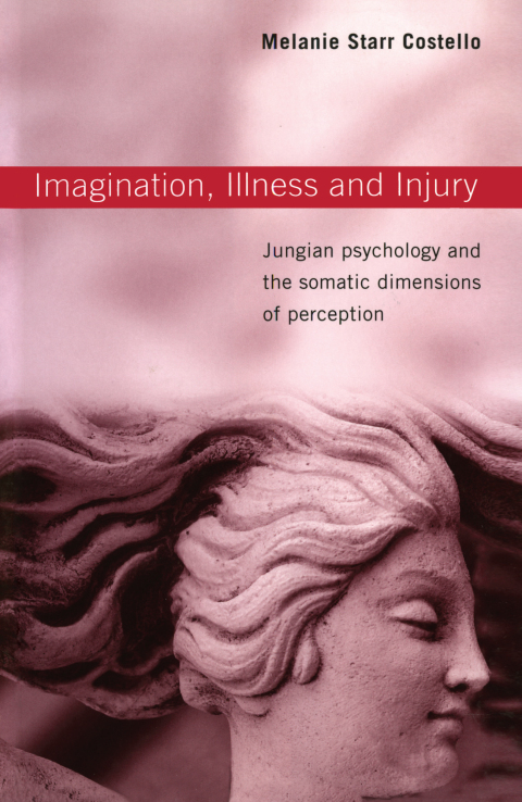 Cover image for book Imagination, Illness and Injury