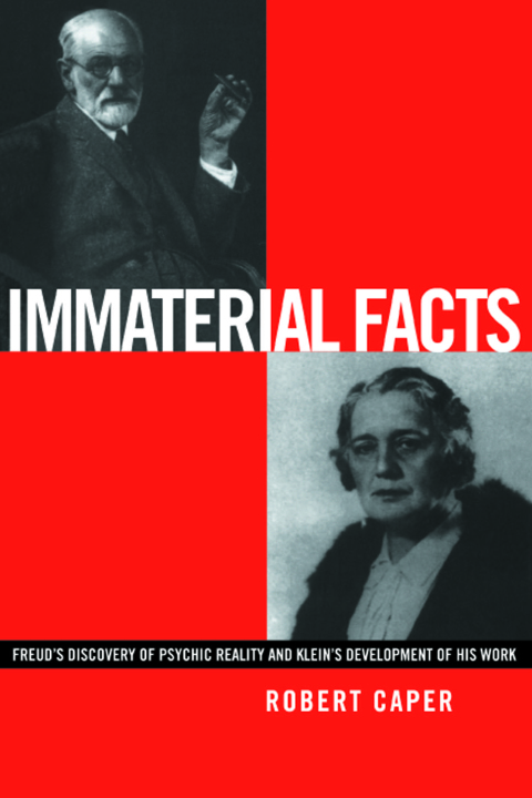 Cover image for book Immaterial Facts