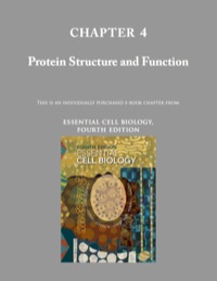 Chapter 04 Protein Structure And Function Essential Cell