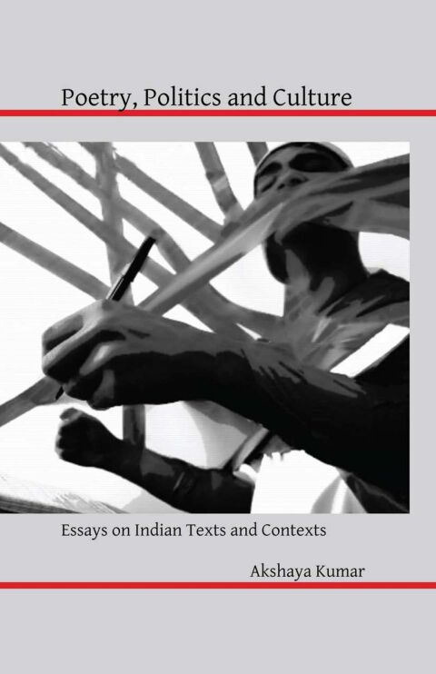 Cover image for book Poetry, Politics and Culture