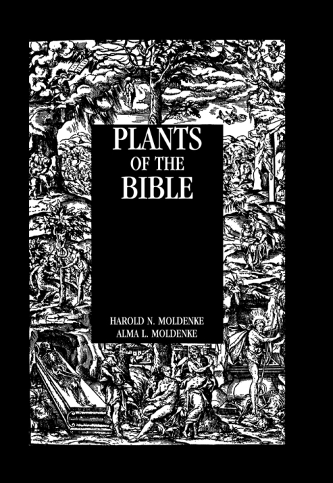 Cover image for book Plants Of The Bible