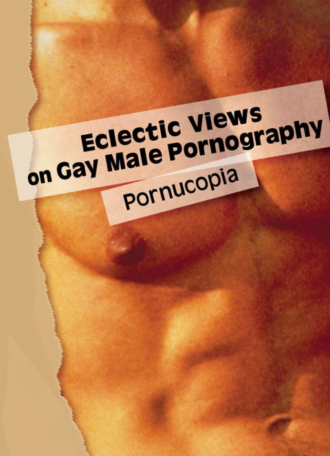 Cover image for book Eclectic Views on Gay Male Pornography
