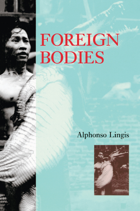 Cover image for book Foreign Bodies