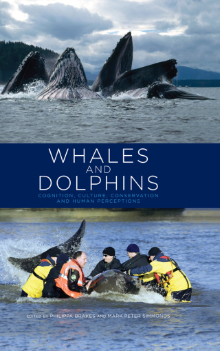 Whales and Dolphins