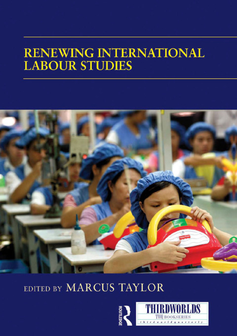 Cover image for book Renewing International Labour Studies