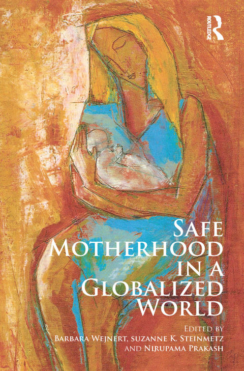 Cover image for book Safe Motherhood in a Globalized World