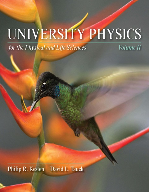Cover image for book University Physics for the Physical and  Life Sciences: Volume II