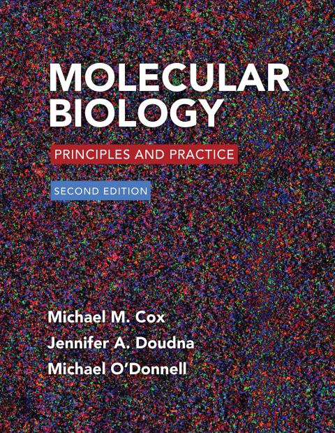 Cover image for book Molecular Biology