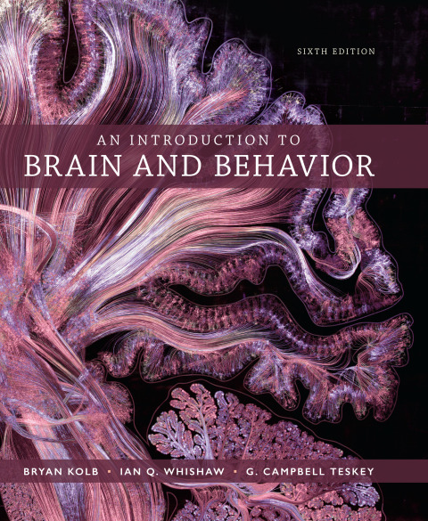 Cover image for book An Introduction to Brain and Behavior