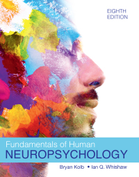FUNDAMENTALS OF HUMAN NEUROPSYCHOLOGY