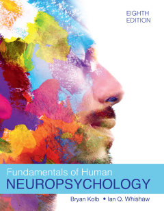 FUNDAMENTALS OF HUMAN NEUROPSYCHOLOGY
