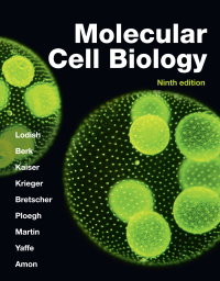 Molecular Cell Biology 9th Edition | 9781319365486, 9781319383602 ...