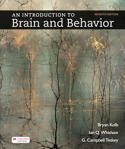 Cover image for book An Introduction to Brain and Behavior