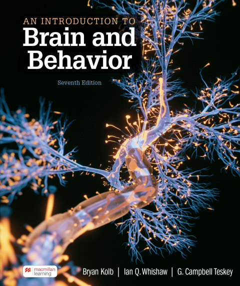 An Introduction to Brain and Behavior (International Edition) 