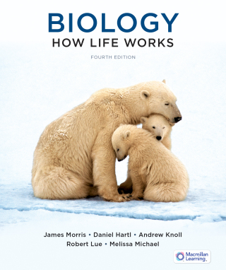 Biology: How Life Works (International Edition)