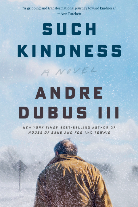 Cover image for book Such Kindness: A Novel