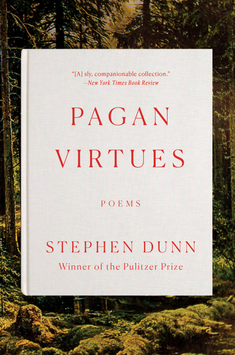 Cover image for book Pagan Virtues