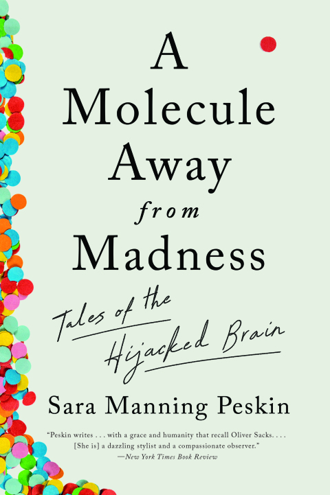 Cover image for book A Molecule Away from Madness