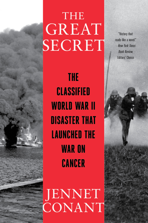 Cover image for book The Great Secret