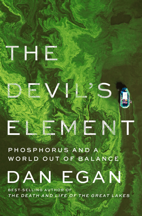 Cover image for book The Devil's Element