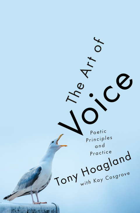 Cover image for book The Art of Voice
