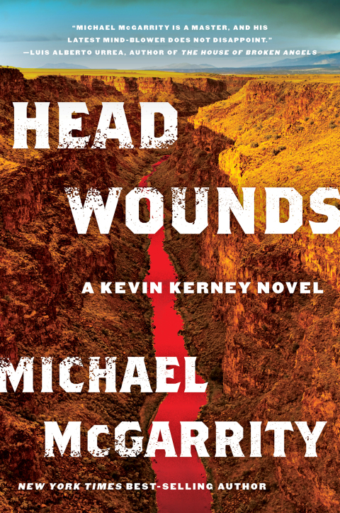 Cover image for book Head Wounds