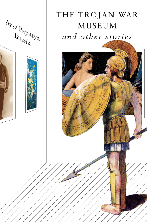 Cover image for book The Trojan War Museum