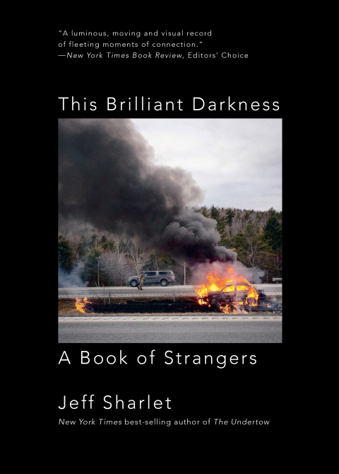 Cover image for book This Brilliant Darkness