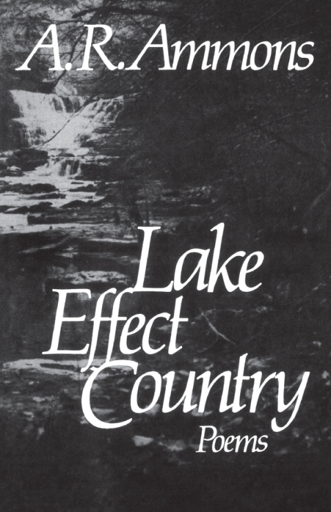 Cover image for book Lake Effect Country